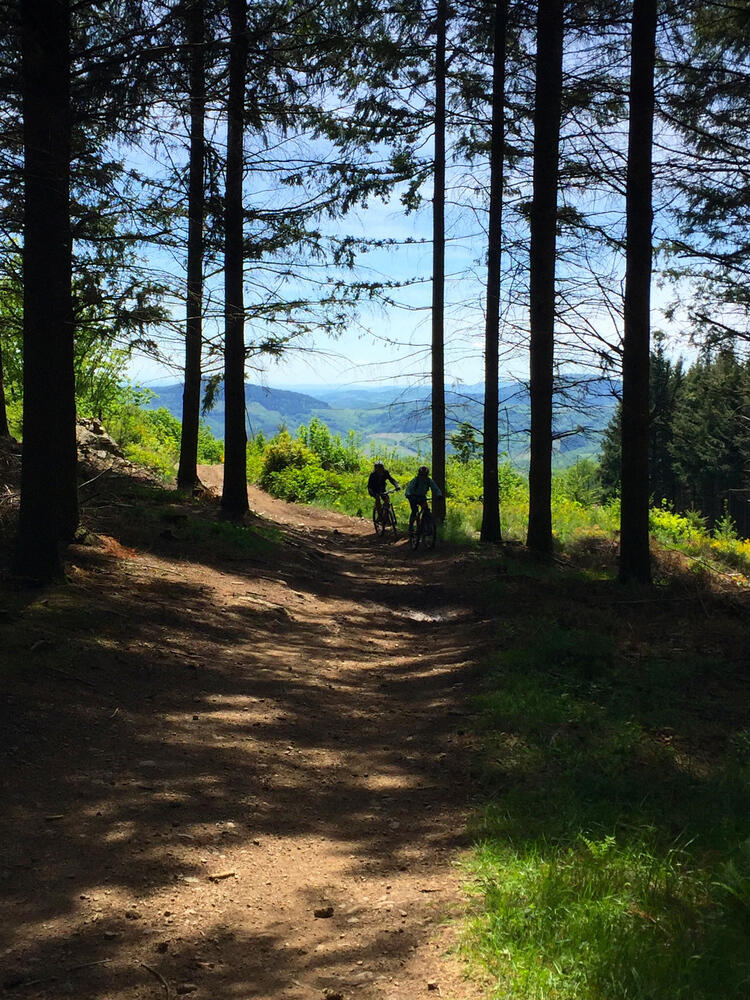 Entre Cx Montmain et Cx Rosier Entre Cx Montmain et Cx Rosier